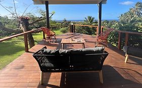 Avocado Retreat